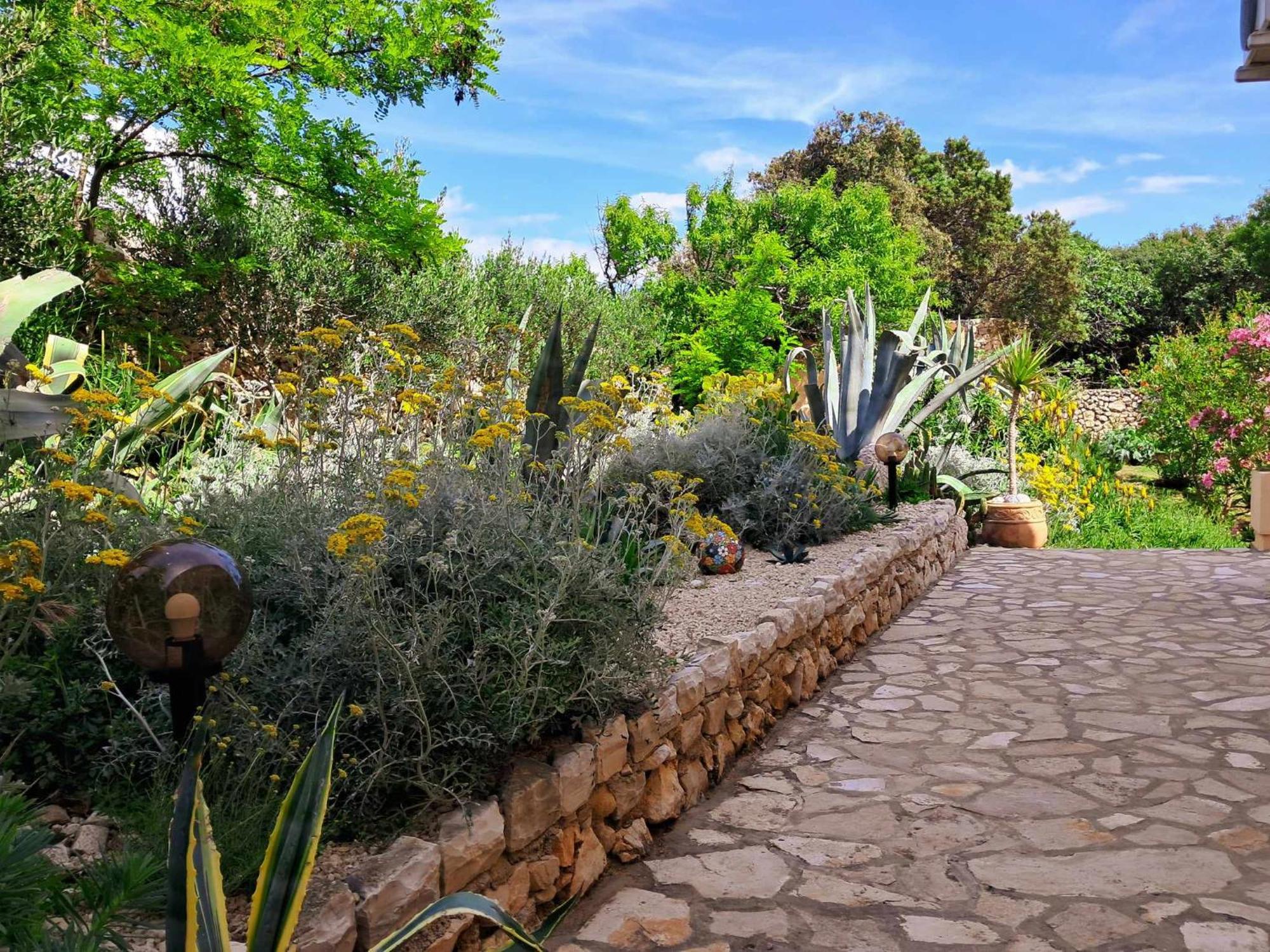 Villa Cesarica Novalja Exterior foto